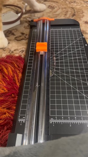 When I said I needed a hand cutting up stickers for the NEC Classic Motor Show I don’t think this is quite what I had in mind 😂 Anyway, she’s had a little nibble of a ULEZ sticker (which will now be used as the example sticker) so she’s happy. Coming to the show and want to save a couple of quid to use on an idriveaclassic sticker? Use code IDRIVEACLASSIC2 on all pre ordered tickets. PS. I’ll give you an Austin update later! | idriveaclassic