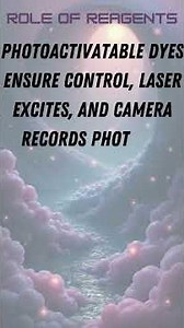 Super Resolution PALM