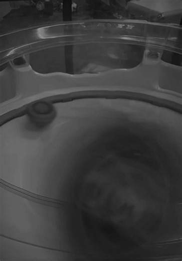 @TombSt0ne and his golem rock mastering the VOID #beybladex #beybladechicago #beyblades #fyp #beyblade