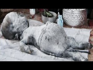 Top 15 STRANGEST Unidentified Creatures Ever Found