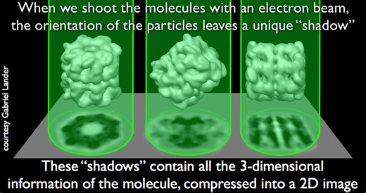 Visual introduction to CryoEM