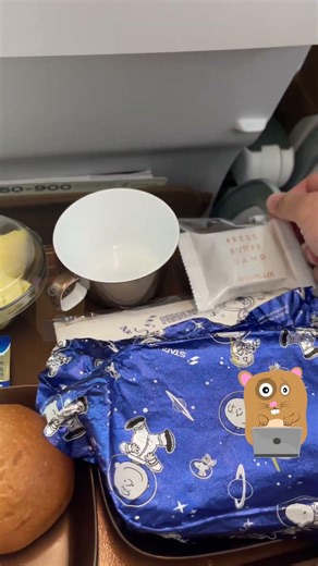 Starlux Airlines Meal Japan To Taiwan