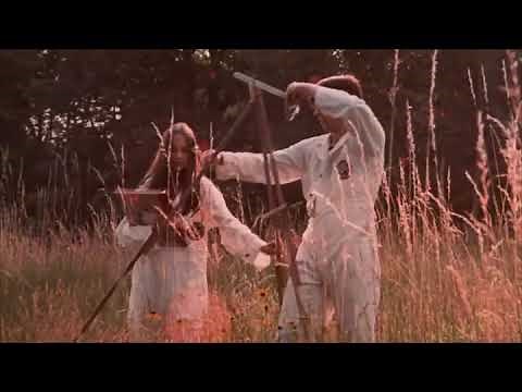 The Blazer Girls - 1975 - Woods Montage