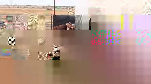 29K views · 1.4K reactions | Versatility Ranch Horse host Robert...