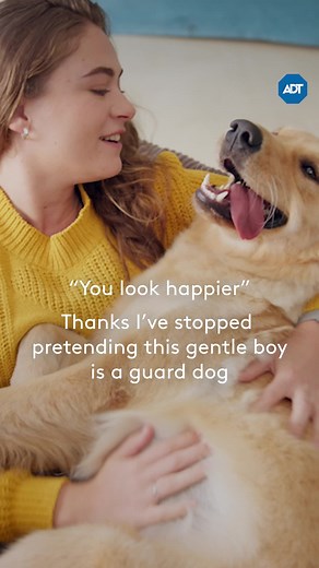 Affordable ADT DIY Security Systems Starting at $199