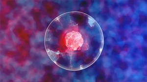 DNA profiling Grade 12 Life Sciences Notes with Activities Questions and Answers » My Courses