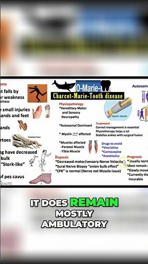Charcot-Marie-Tooth Disease: Prognosis and What to Expect #shorts