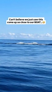 31K reactions · 365 shares | MIND BLOWN 勞 Out on a boat in Moorea...