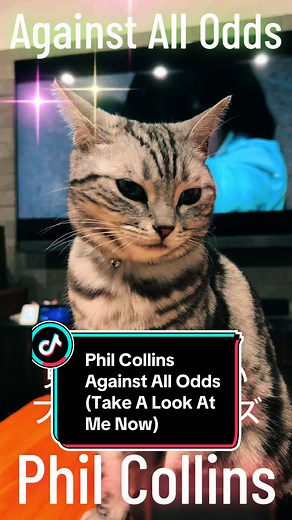 フィル・コリンズの名曲「Against All Odds」