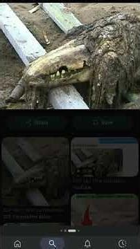 the alpha warhead #the scp foundation