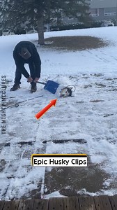 30K views · 115 reactions | Epic Husky Clips | The Mighty McClures | Facebook