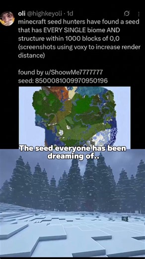 BEST Seed in Minecraft History! 🌍 #pov