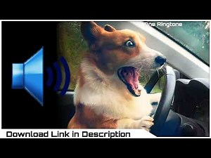 Duh Duh Duh Sound Effect Download | Sound Effect Tiktok | Sound Effect Instagram