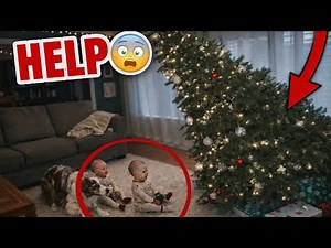 Hero Dog Saves Baby from Multiple Dangers | 11:30 Minute Rescue Compilation