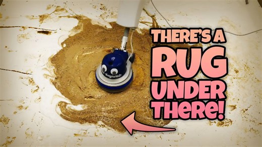 Watch this filthy rug transform before your eyes!