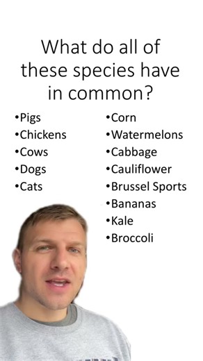 The Power of Artificial Selection: Evolution through Human Intervention