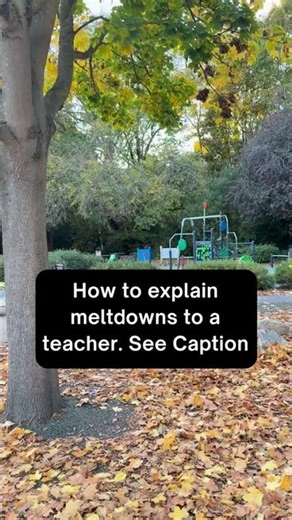How to Explain Meltdowns to a Teacher