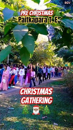 Pre Christmas Gathering | Paitkapara 🎄 #nagpuri #happychristmas #merrychristmas