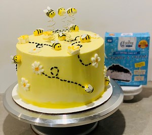 Bumblebee Ice Cream Cake (no ice cream maker required!) ~ Intensive Cake Unit