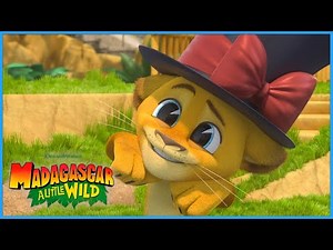 Alex Tries Magic! | DreamWorks Madagascar