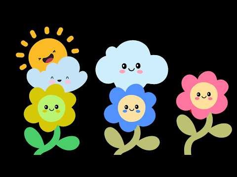 Peekaboo Baby Sensory Video High Contrast Visual Tracking Calming