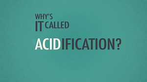 2K views · 27 reactions | Find out how research at Plymouth is tackling this global carbon dioxide problem. Explore the science behind falling ocean pH and the impact this has on marine ecosystem balance. https://www.plymouth.ac.uk/research/ocean-acidification | University of Plymouth | Facebook