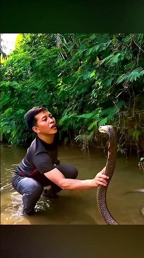 The most unexpected animal moments caught on camera part 62