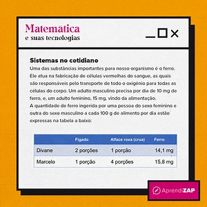 Sistemas e equações lineares no cotidiano