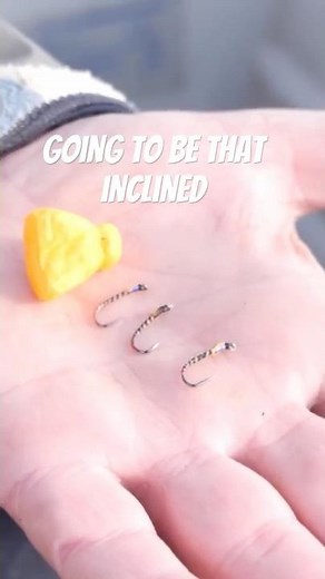 The Simple Buzzer Rig That Catches Trout Everywhere! #flyfishingtactics #flyfishingtrout