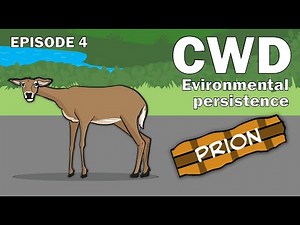 CWD Series Episode 4 - Why does environmental persistence of prions matter?