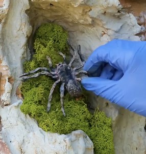 27K views · 49 reactions | Turning a Wall Crack into LEGO Street Art Magic! | 5-Minute Recycle | Facebook