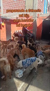 56K views · 2.6K reactions | Preparando a Génesis mi hija, para...