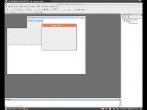 Visual Basic 6.0 Install wine Software for Ubuntu Linux 12.04