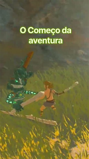 Jogo: Zelda - Tear of the Kingdom #Totk #zelda #zeldatearsofthekingdom