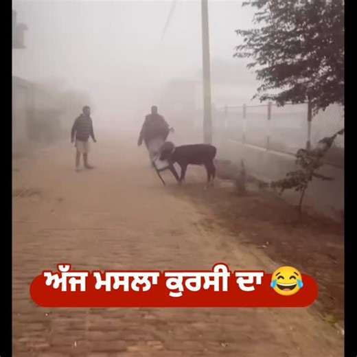 Patran Helpline on Instagram: "#punjabelections 😂"