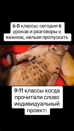 Индивидуальные проекты для школьников и колледжей