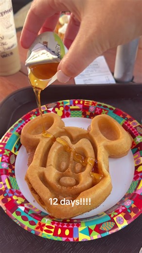 Countdown Celebration: 12 Days to Go!