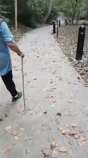 Lucid Concepts is live at the park