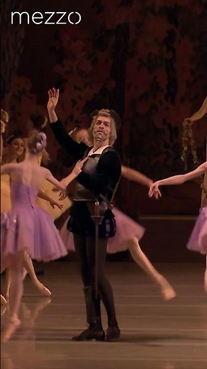 Don Quixote - Choreography by Marius Petipa - Mariinsky Ballet