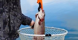 9 Major Muscles Used While Kayaking