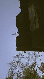 1.1K views · 36 reactions | #bhojpuri | Neha Singh Neha Singh | Facebook