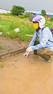 Extreme Culvert Unclogging Street Drain Finally Flows Again