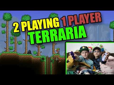2 Playing 1 Player TERRARIA