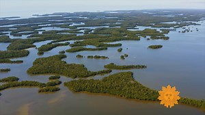 54K views · 1.8K reactions | Do Nothing For One Minute Take a minute, turn up the volume, as we take you to Florida's Ten Thousand Islands. Videographer: Charles Schultz. https://cbsn.ws/3tAX1Bi | CBS Sunday Morning | Facebook