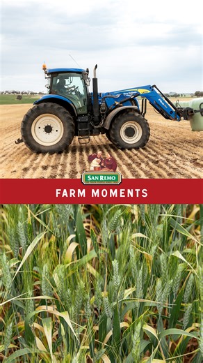 Producing San Remo pasta is a true labour of love, and we're so proud to partner with hardworking farmers to bring it to life ❤️ | San Remo | Facebook