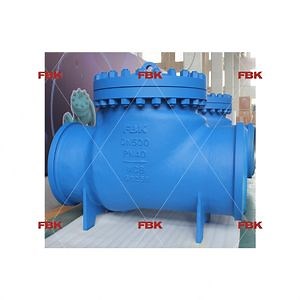 [Hot Item] Fbk Full Open Swing Check Valve