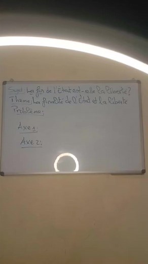 Sujet : La fin de l'État est-elle la liberté ? | PREPA BAC PHILO