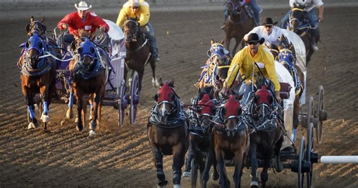 Cash for canvas: Annual Calgary Stampede tarp auction sets record of $6.1M in bids