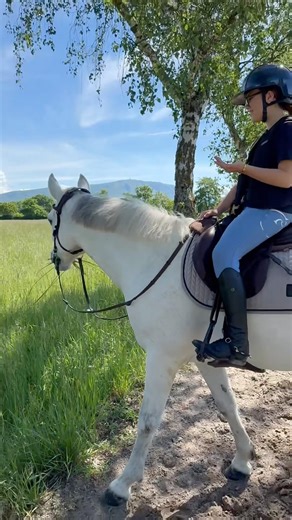 POV : ton poney voit de l’herbe 👀 #equitation #poney #cheval #horse