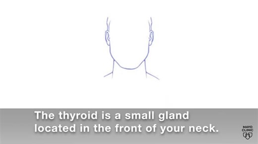4.2K views · 49 reactions | Women are three to four times more likely than men to be diagnosed with thyroid cancer. However, recent research shows that men face an equal risk of developing this type of cancer. Dr. Victor Bernet, a Mayo Clinic endocrinologist, says men also need to be aware of thyroid cancer risks. Learn more: https://mayocl.in/4ib6o3A | Mayo Clinic | Facebook